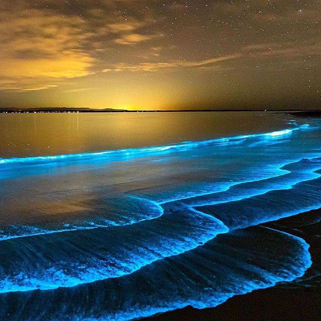 Carousels 82 wd inst slider 5